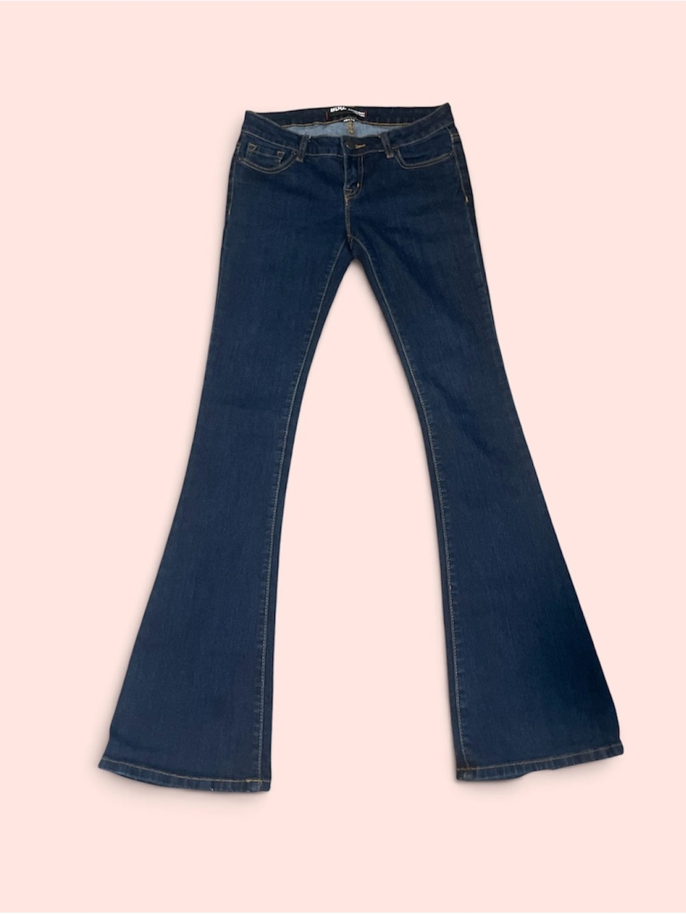 BDG Roadie Boot Low Rise Jeans
